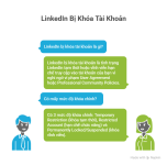 su-dung-automation-tren-linkedin-an-toan-cach-tranh-rui-ro-bi-han-che-tai-khoan-3.png